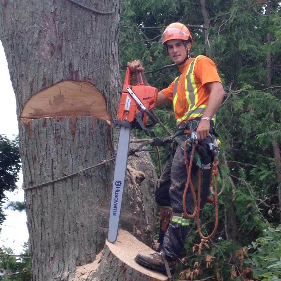 Owen Sound Tree Removal