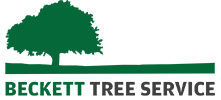 Beckett tree service owen sound